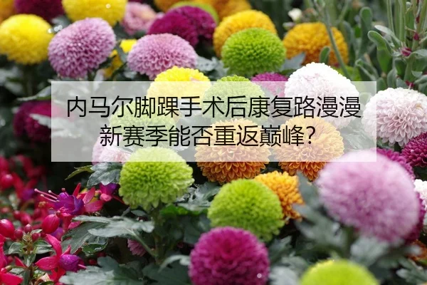 内马尔脚踝手术后康复路漫漫 新赛季能否重返巅峰？